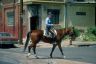 Philadelphia Mounted Patrol Officer & Ride